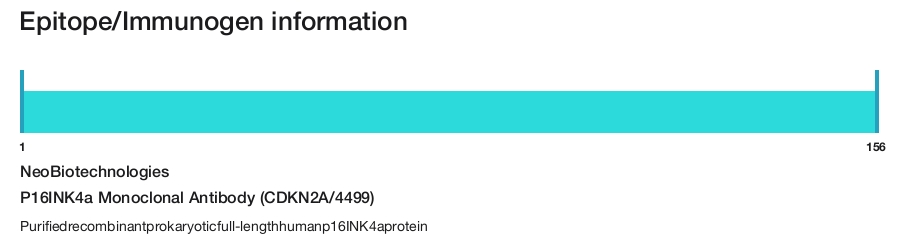 P16INK4a Monoclonal Antibody (CDKN2A/4499)
