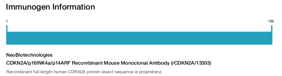CDKN2A/p16INK4a/p14ARF Recombinant Mouse Monoclonal Antibody (rCDKN2A/13303)