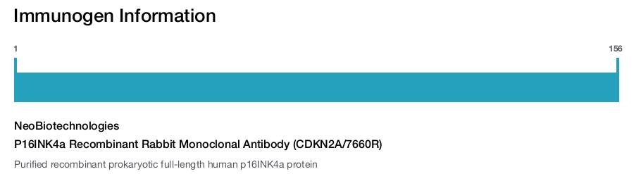 P16INK4a Recombinant Rabbit Monoclonal Antibody (CDKN2A/7660R)