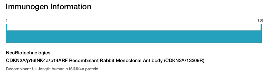 CDKN2A/p16INK4a/p14ARF Recombinant Rabbit Monoclonal Antibody (CDKN2A/13309R)
