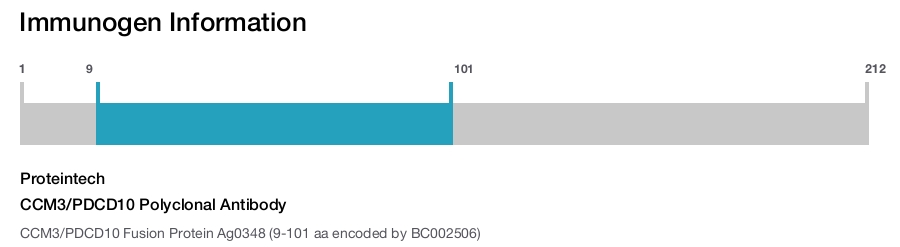 CCM3/PDCD10 Polyclonal Antibody