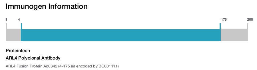 ARL4 Polyclonal Antibody