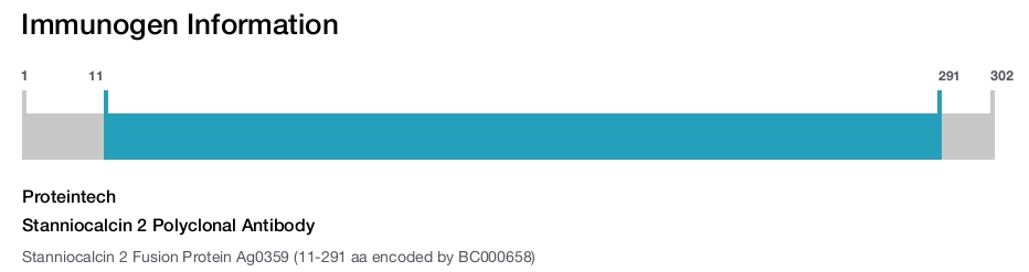 Stanniocalcin 2 Polyclonal Antibody