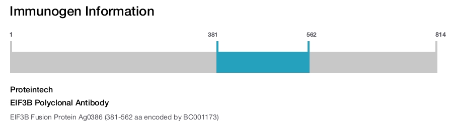 EIF3B Polyclonal Antibody