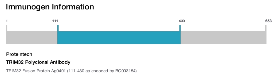 TRIM32 Polyclonal Antibody