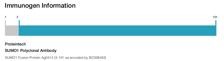 SUMO1 Polyclonal Antibody