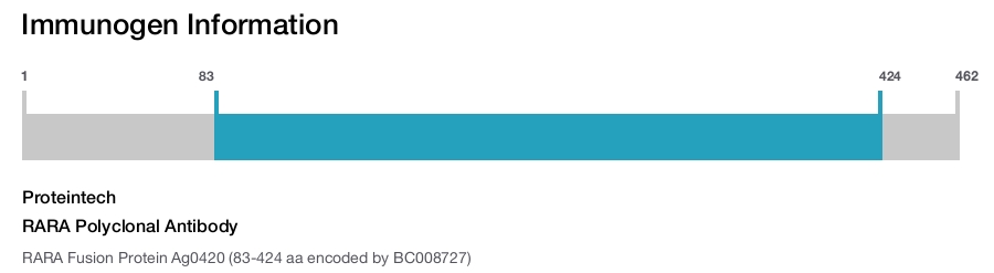 RARA Polyclonal Antibody