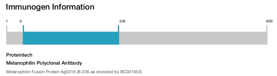 Melanophilin Polyclonal Antibody