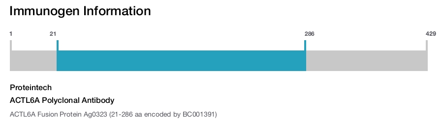 ACTL6A Polyclonal Antibody