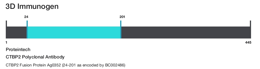 CTBP2 Polyclonal Antibody