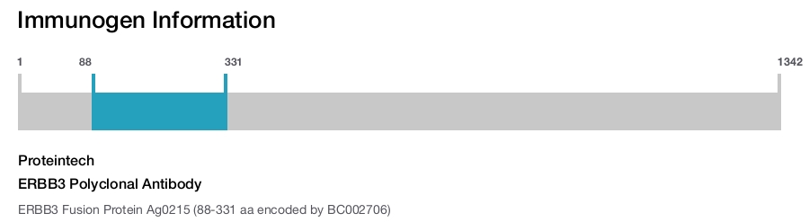 ERBB3 Polyclonal Antibody