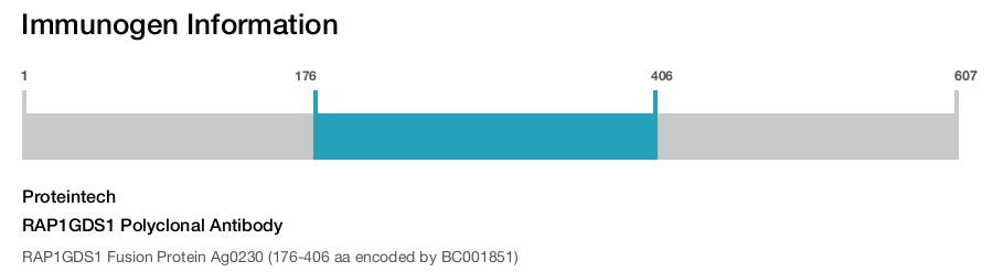 RAP1GDS1 Polyclonal Antibody