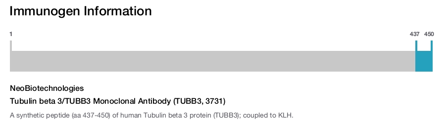 Tubulin beta 3/TUBB3 Monoclonal Antibody (TUBB3, 3731)
