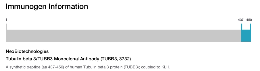 Tubulin beta 3/TUBB3 Monoclonal Antibody (TUBB3, 3732)