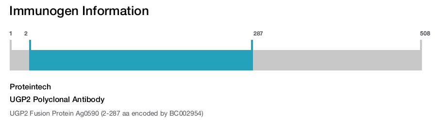 UGP2 Polyclonal Antibody