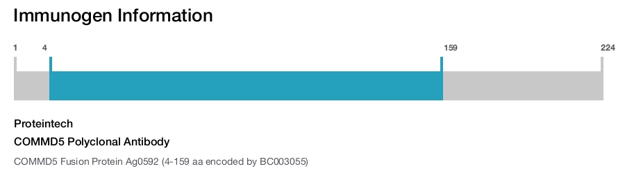 COMMD5 Polyclonal Antibody