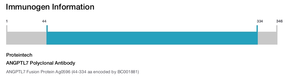 ANGPTL7 Polyclonal Antibody
