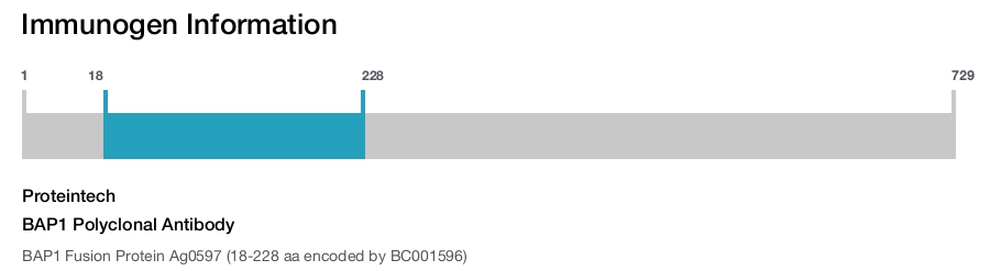 BAP1 Polyclonal Antibody