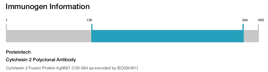 Cytohesin 2 Polyclonal Antibody