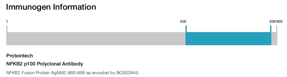 NFKB2 p100 Polyclonal Antibody