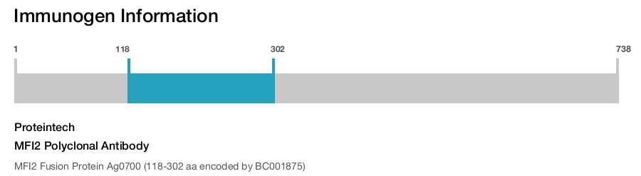 MFI2 Polyclonal Antibody