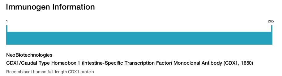 CDX1/Caudal Type Homeobox 1 (Intestine-Specific Transcription Factor) Monoclonal Antibody (CDX1, 1650)