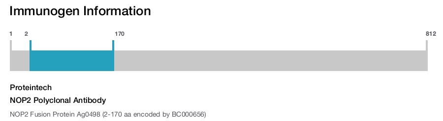 NOP2 Polyclonal Antibody