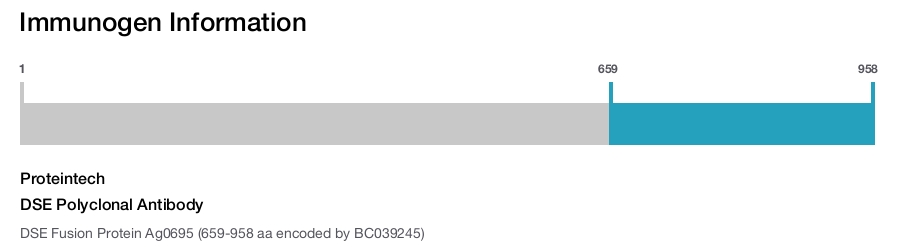 DSE Polyclonal Antibody