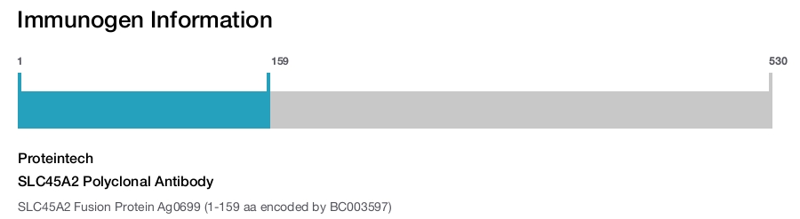 SLC45A2 Polyclonal Antibody