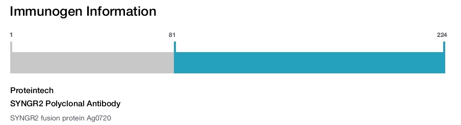 SYNGR2 Polyclonal Antibody