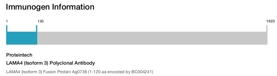 LAMA4 (Isoform 3) Polyclonal Antibody
