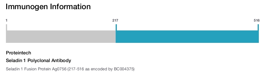 Seladin 1 Polyclonal Antibody