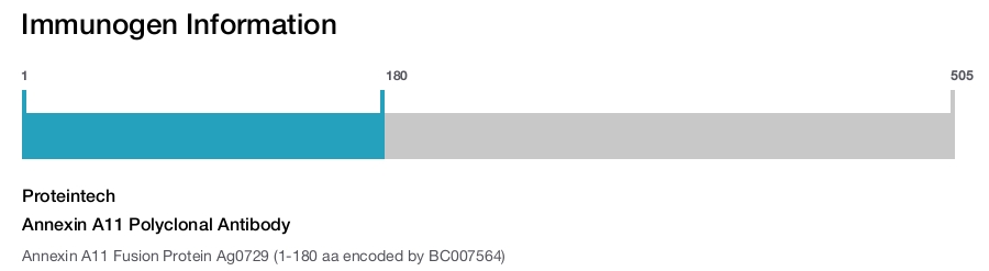 Annexin A11 Polyclonal Antibody