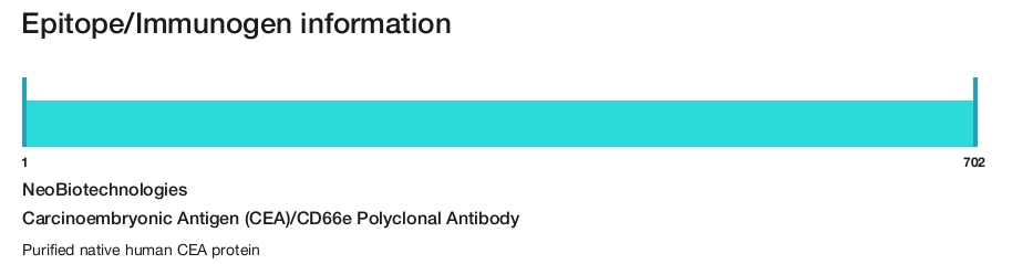 Carcinoembryonic Antigen (CEA)/CD66e Polyclonal Antibody