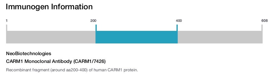 CARM1 Monoclonal Antibody (CARM1/7426)