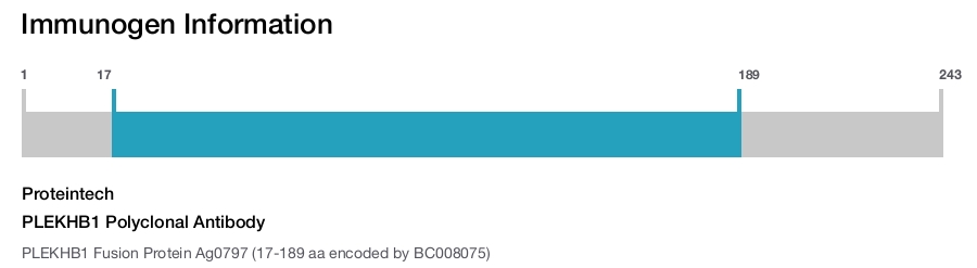 PLEKHB1 Polyclonal Antibody