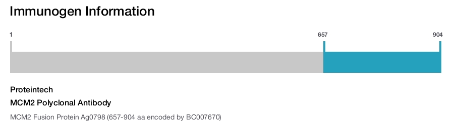 MCM2 Polyclonal Antibody