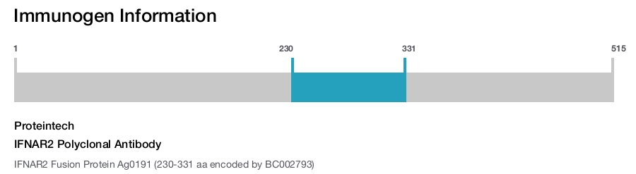 IFNAR2 Polyclonal Antibody