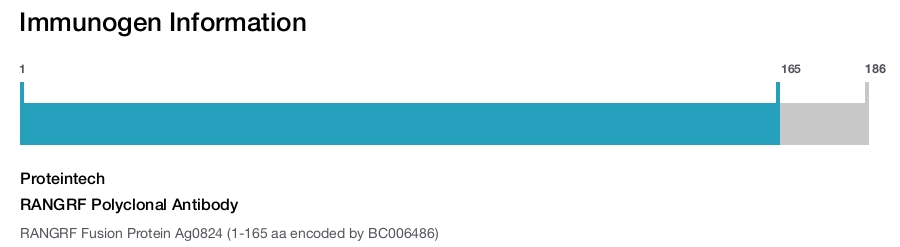 RANGRF Polyclonal Antibody