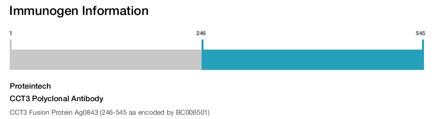 CCT3 Polyclonal Antibody