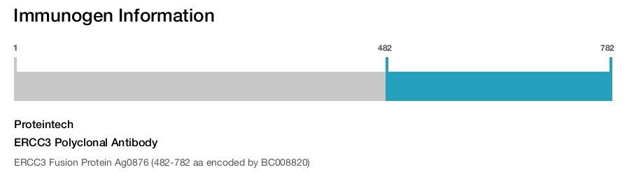 ERCC3 Polyclonal Antibody