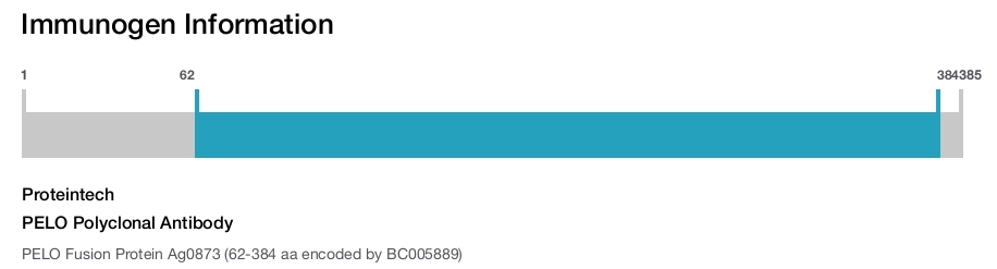 PELO Polyclonal Antibody