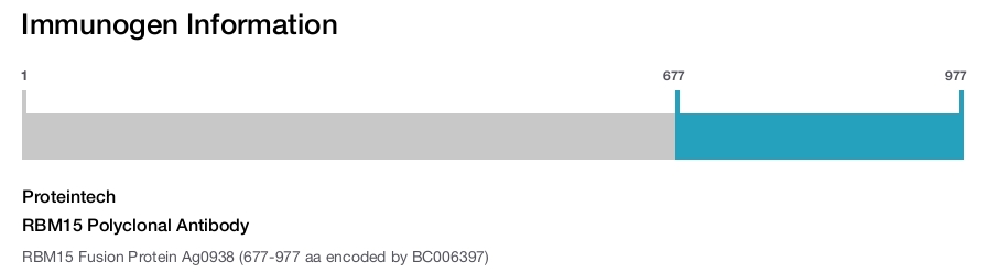 RBM15 Polyclonal Antibody