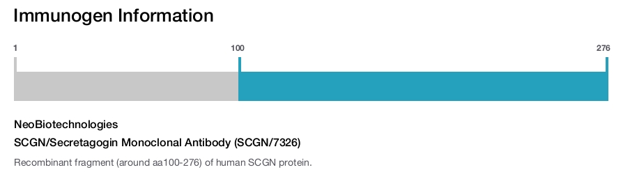 SCGN/Secretagogin Monoclonal Antibody (SCGN/7326)