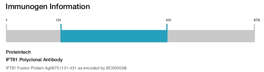 IFT81 Polyclonal Antibody