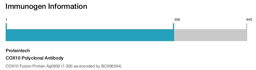 COX10 Polyclonal Antibody