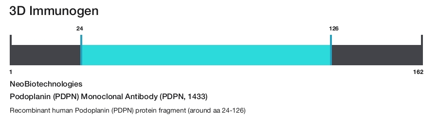 Podoplanin (PDPN) Monoclonal Antibody (PDPN, 1433)