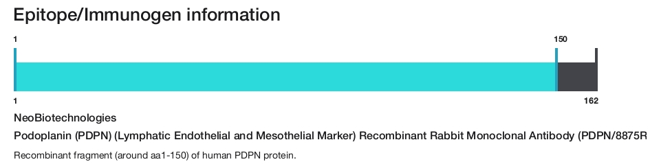 Podoplanin (PDPN) (Lymphatic Endothelial and Mesothelial Marker) Recombinant Rabbit Monoclonal Antibody (PDPN/8875R)