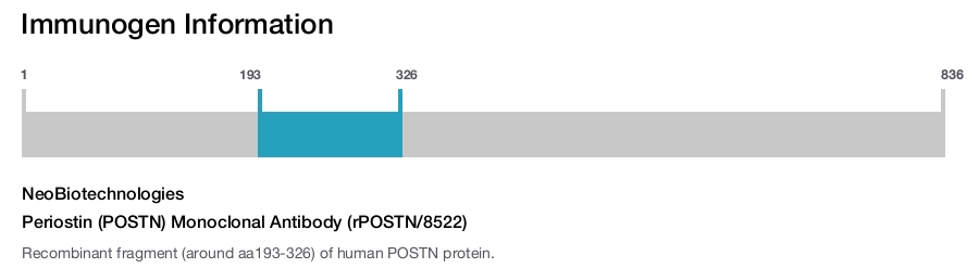 Periostin (POSTN) Monoclonal Antibody (rPOSTN/8522)