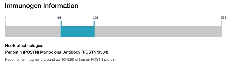Periostin (POSTN) Monoclonal Antibody (POSTN/3504)
